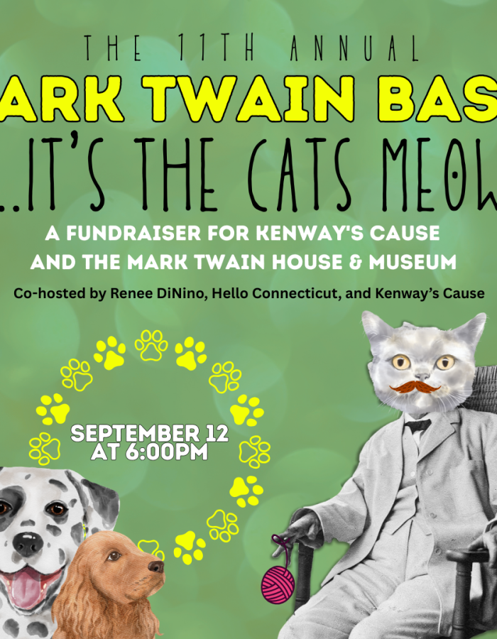 Cat head on the body of Mark Twain