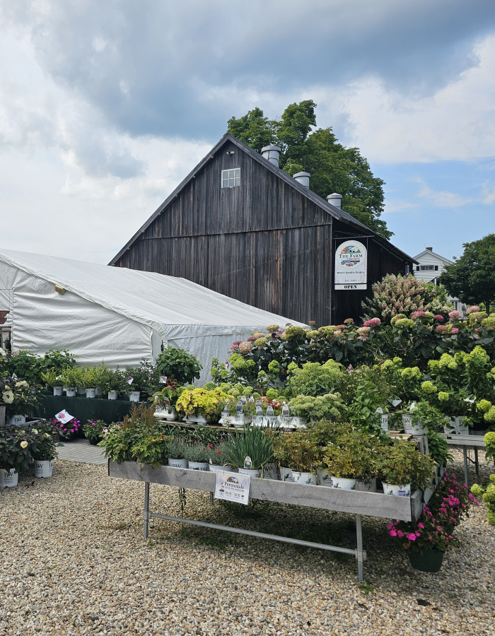 The Farmstand located at The Farm