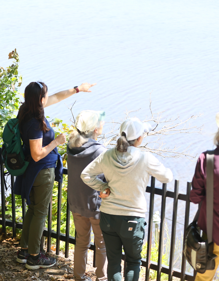 On the overlook of the Peace Sanctuary, a DPNC educator points out across the Mystic River. 