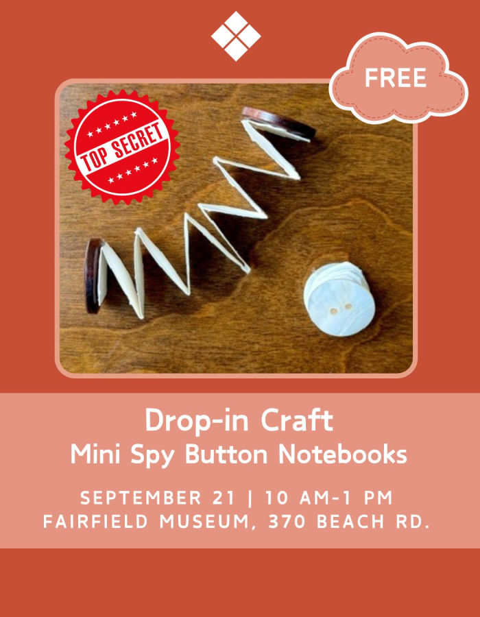Mini Spy Button Notebooks