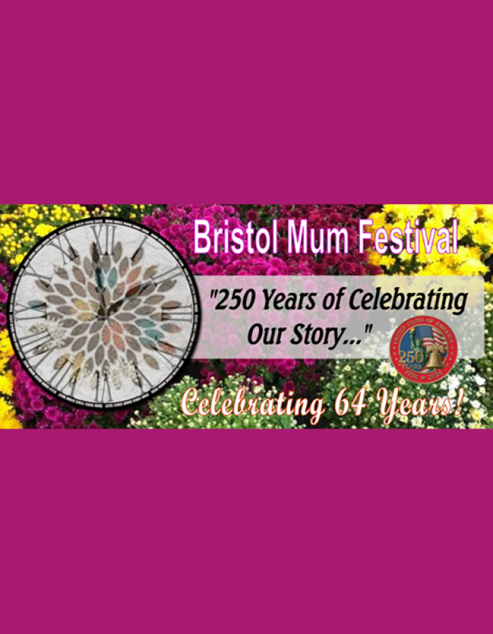 Bristol Mum Festival