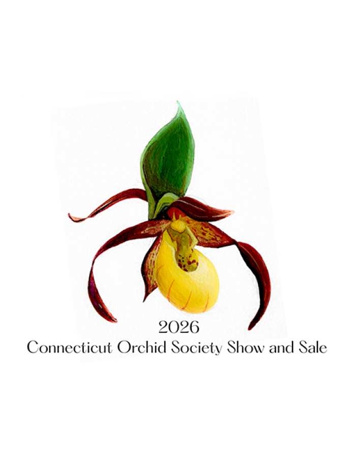 CT Orchid Society's Orchid Harvest Show and Sale