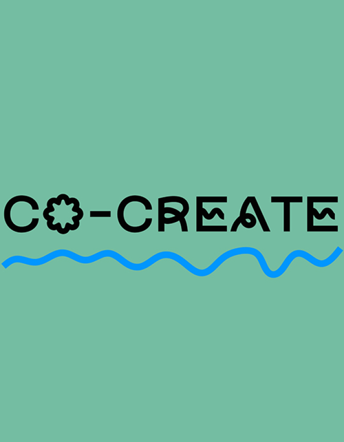 Co-Create against an aqua background with a blue squiggle underline