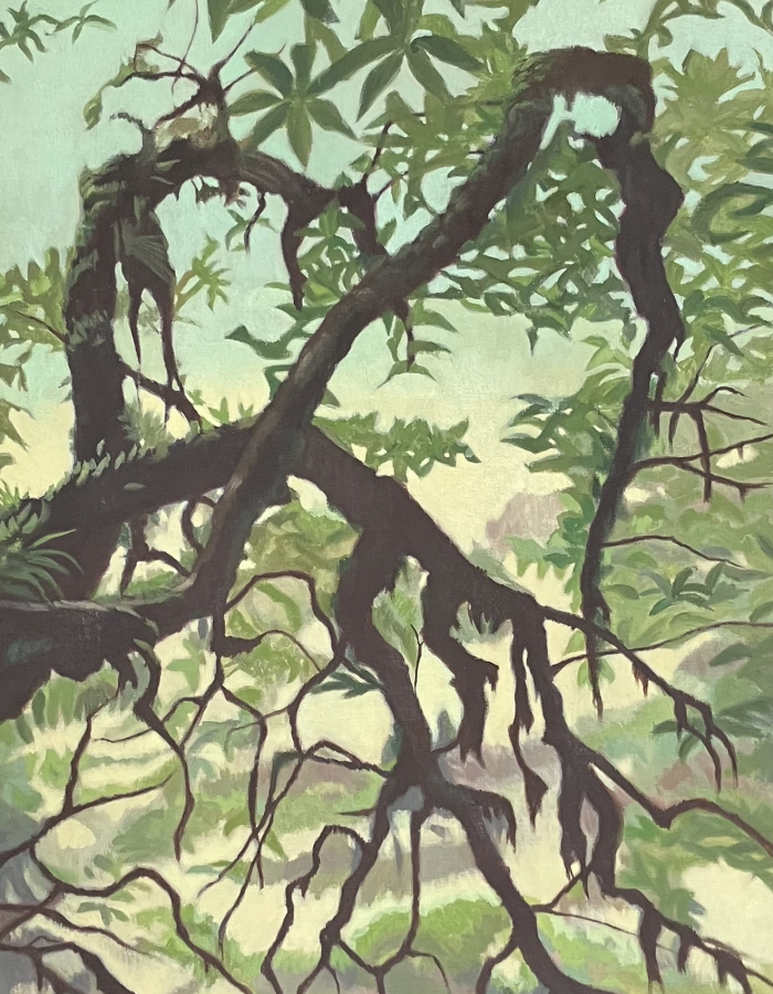 Diane Chandler, Waitomo Jungle, oil