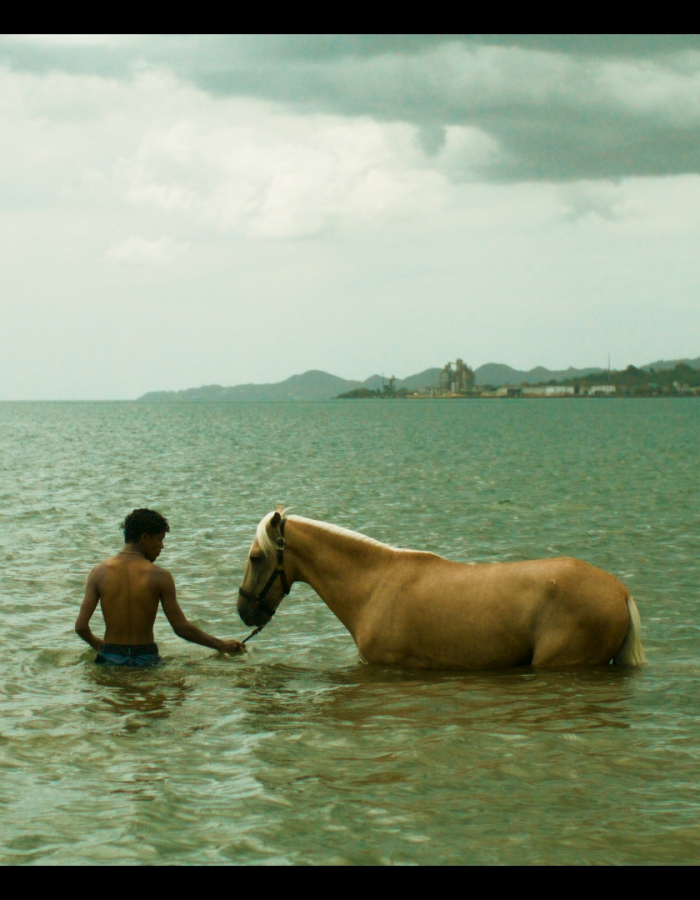 Esta Isla
