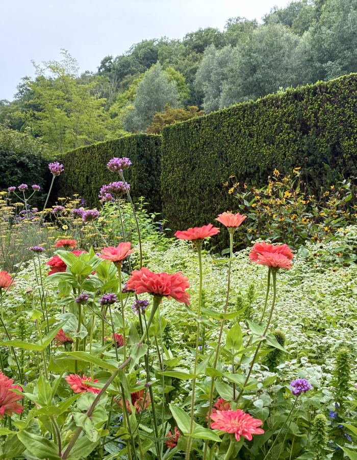 A peaceful scene of Hollister House Garden