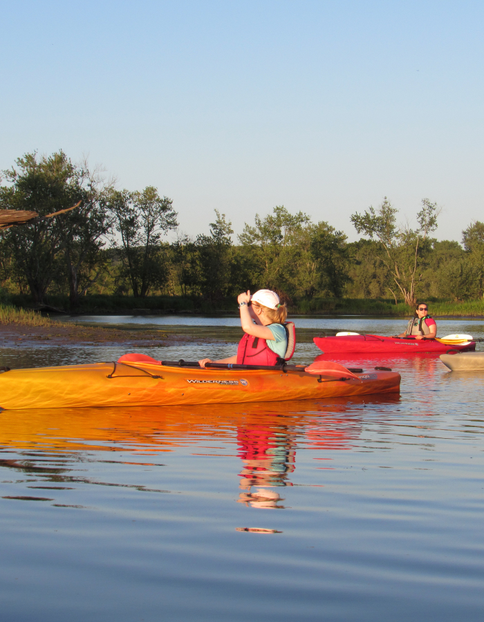 Guided Kayaking Tour of Cromwell Meadows Wildlife Management Area in Middletown