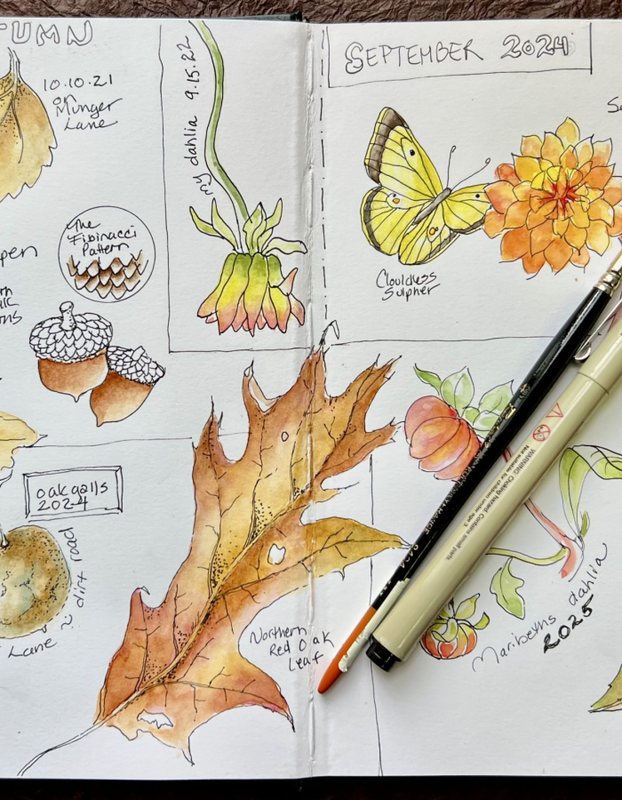 A watercolor journal filled with fall paintings.