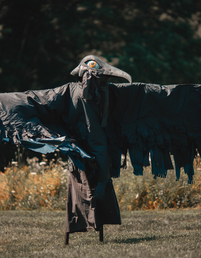 stilted perfomer as raven