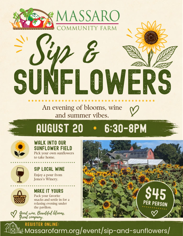 Sip and Sunflowers at Massaro Community Farm