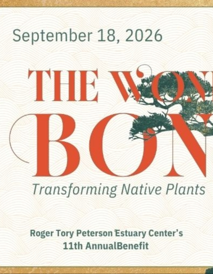 The Wonder of Bonsai: Transforming Native Plants