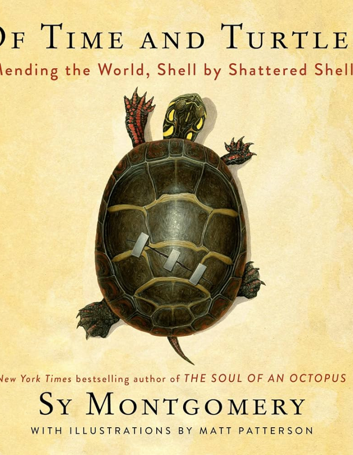 Of Time and Turtles by Sy Montgomery