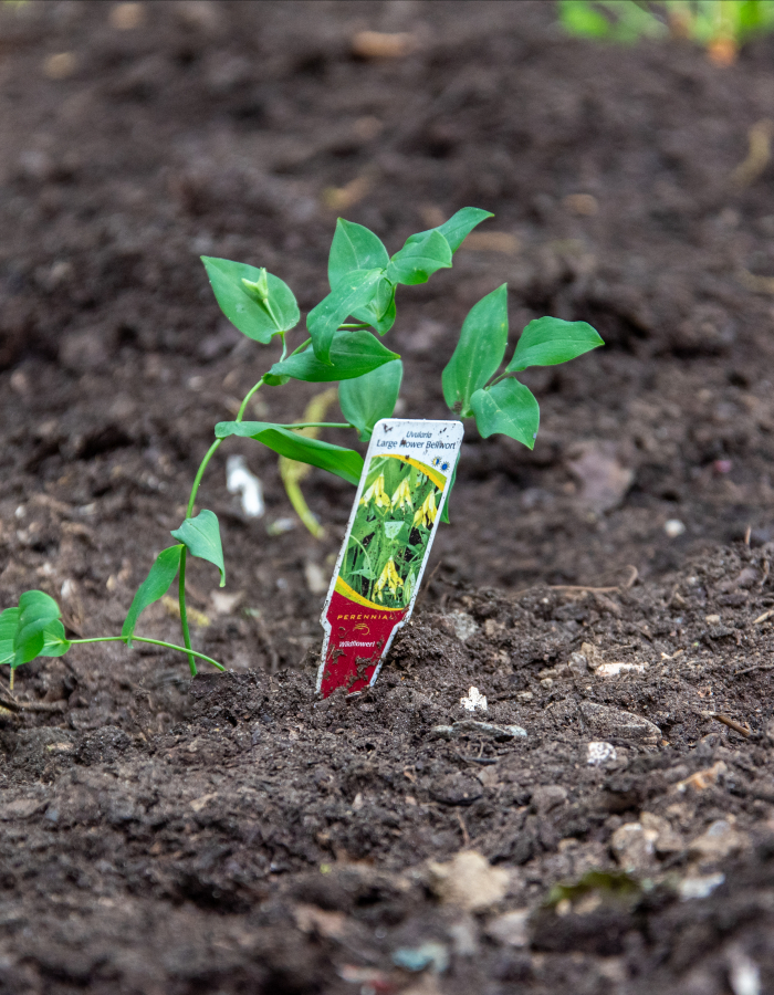 This little seed has been planted, come learn all about planting and identification.