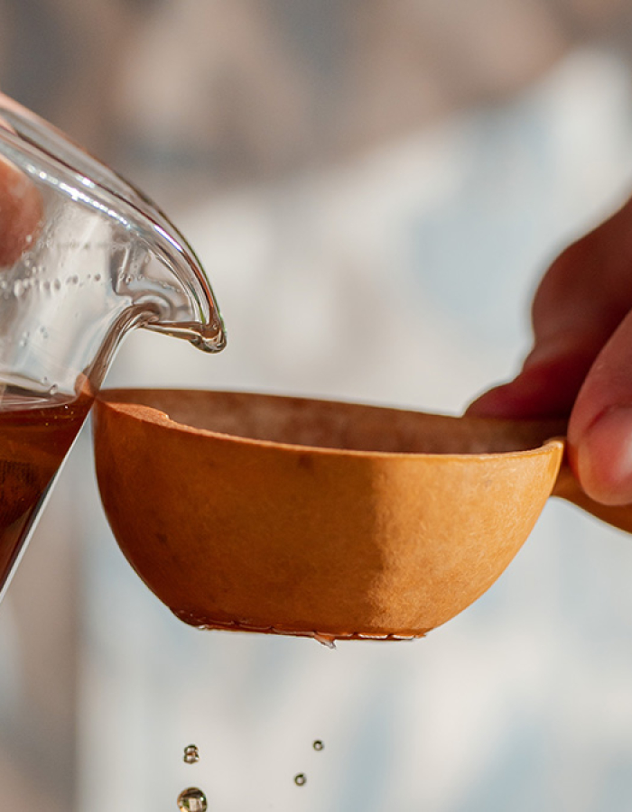 Journey into the World of Tea