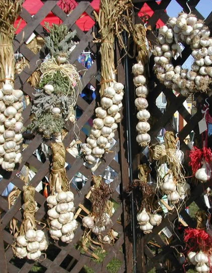 Bethlehem Garlic and Harvest Festival