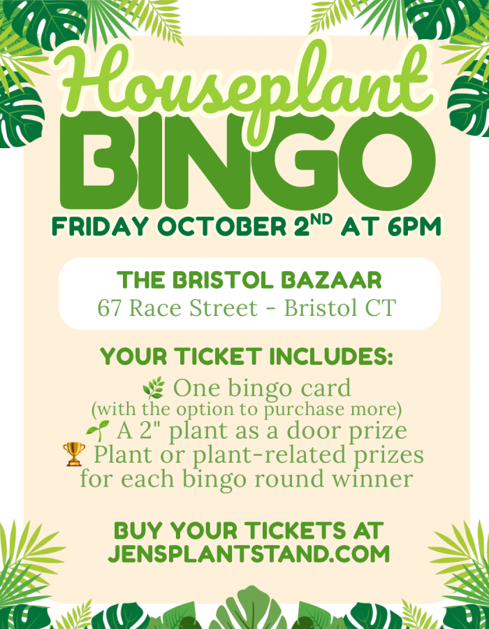 Houseplant Bingo