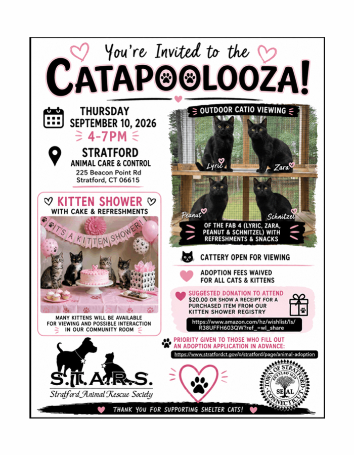 CATAPOOLOOZA