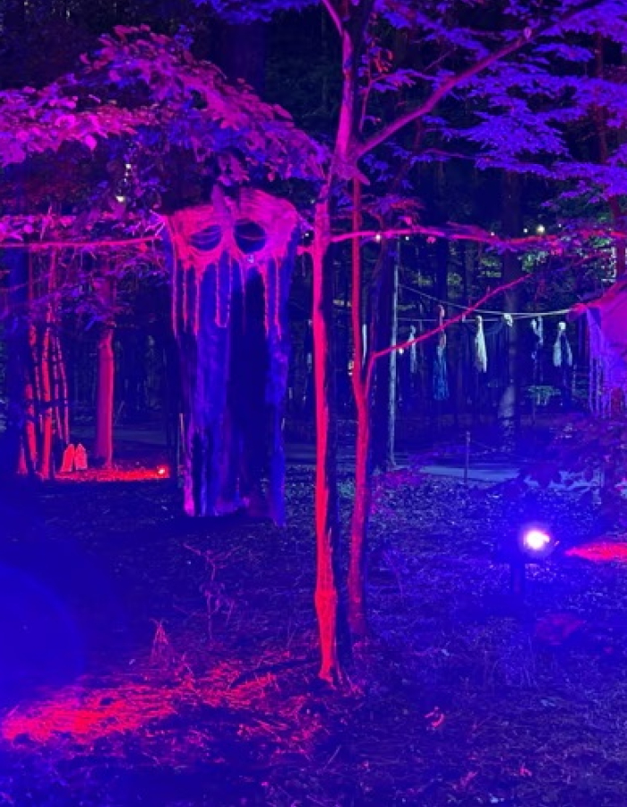 Join us for ziplining and climbing to your favorite Halloween music, glowing lights and a fa-BOO-lous time!