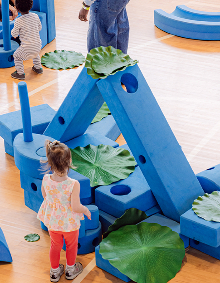 Imagination Playground 