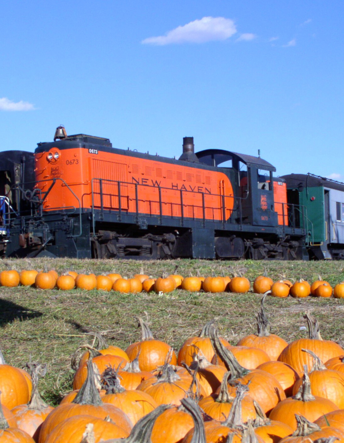 "Husking Bee" train at the Pumpkin Patch