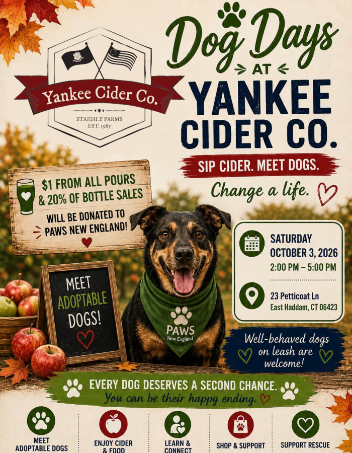 A dog with the company logo and the details of the event