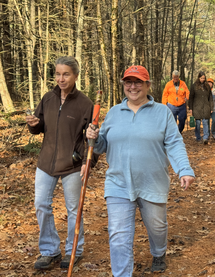 People hiking in woods