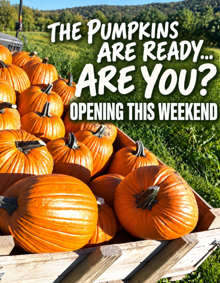 Fall Preview Weekend Graphic
