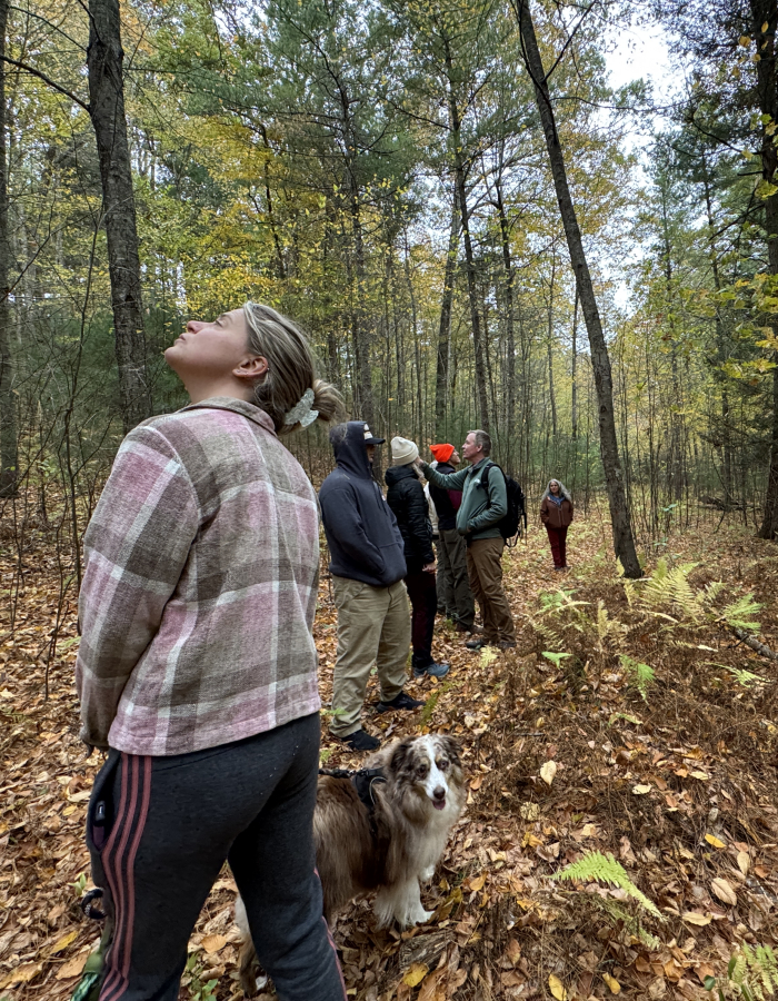 Hikers enjoy wooded trail