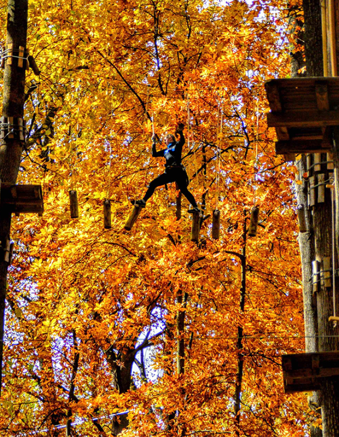 Person crossing elevated wooden obstacle course among autumn trees