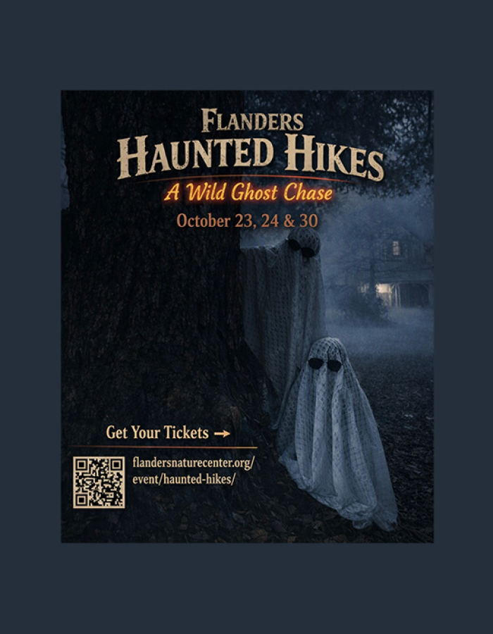 The image contains a house in the background and some spooky ghosts