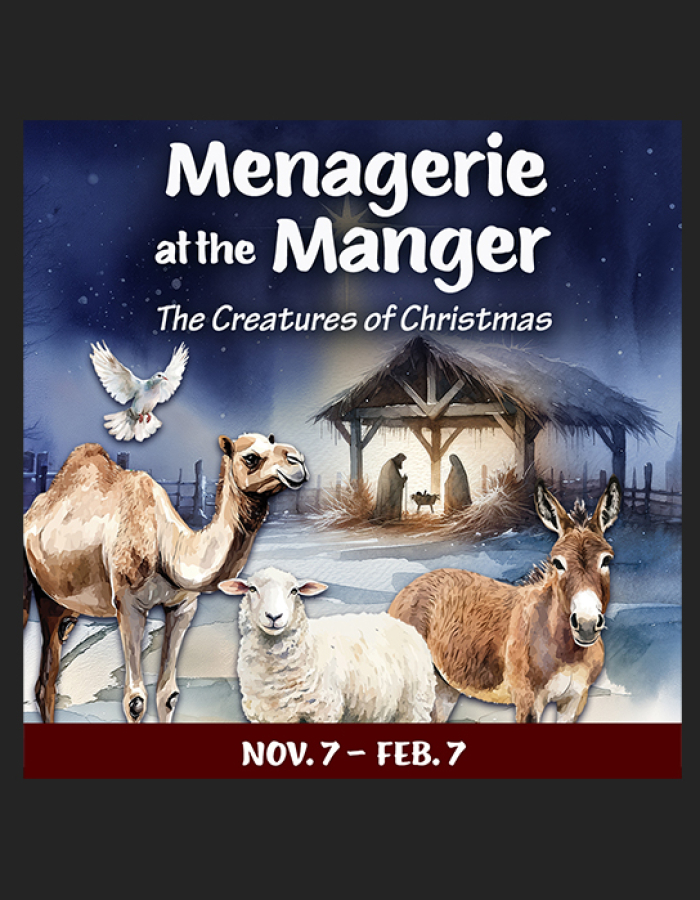 Promotional graphic for the exhibition "Menagerie at the Manger: The Creatures of Christmas." 