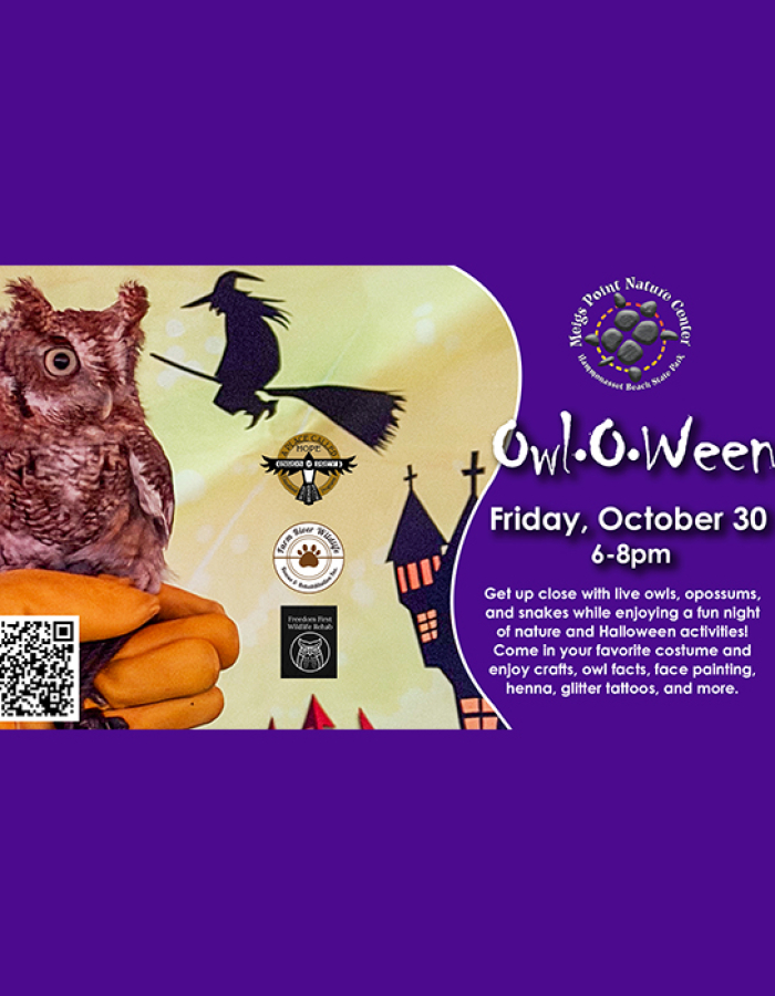 Owloween