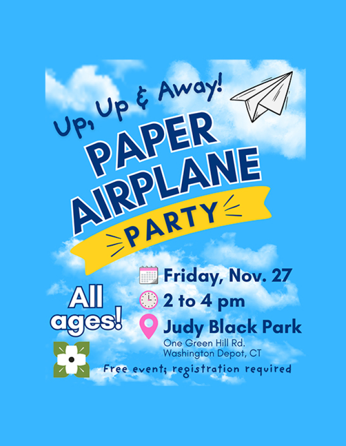 Paper Airplane Party