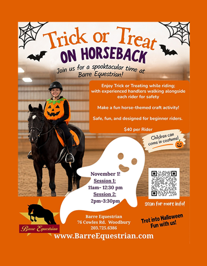 Kid in Halloween costume riding a black pony