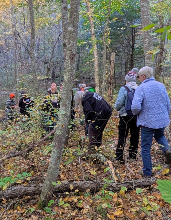 Group of people hiking in woods