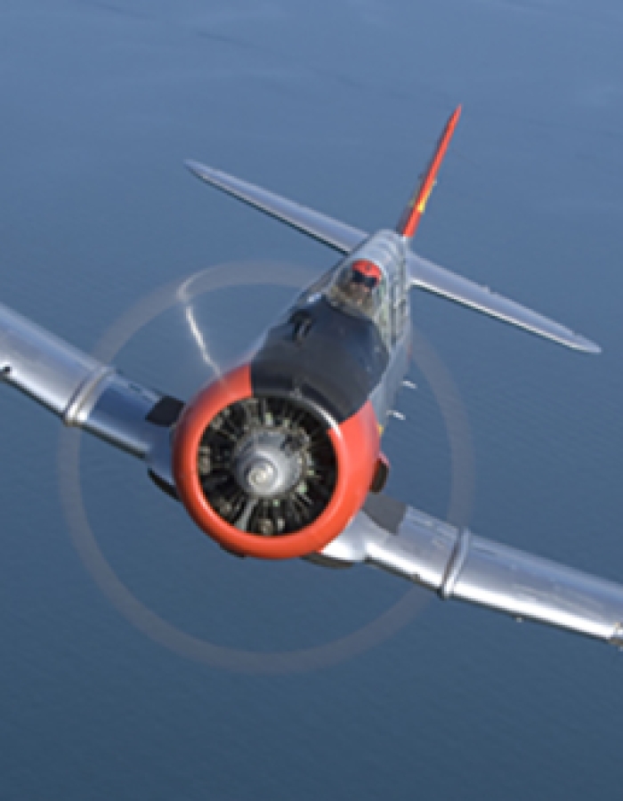 The Island Warbirds Experience - Island Warbirds