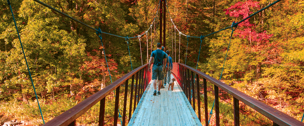 Two people and a dog walking on a suspension bridge in autumn forest