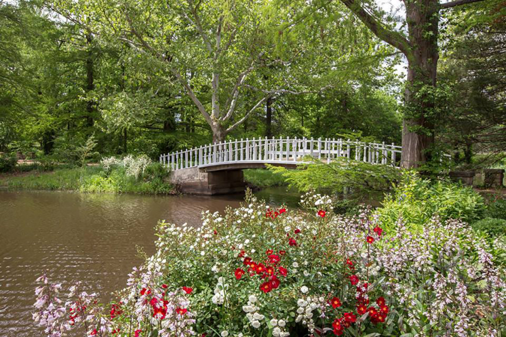 White wooden bridge over pond with colorful flowers and green trees