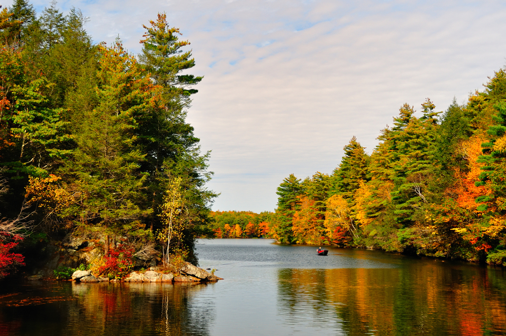 Lake surrounded by autumn trees with a person in a small boat