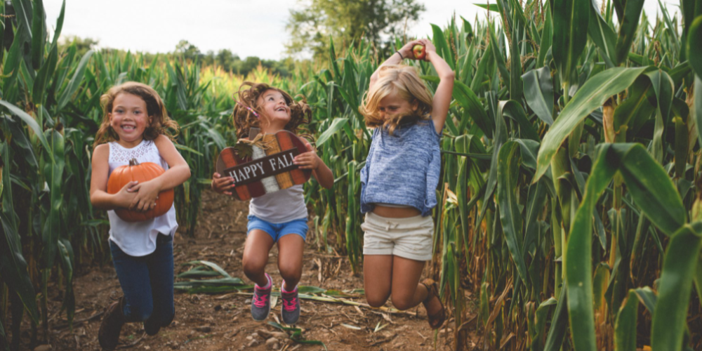Three children jumping in a cornfield holding a pumpkin and a Happy Fall sign