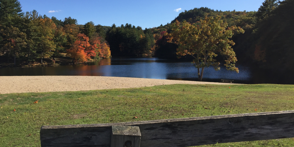 Lake with sandy beach and autumn trees under clear blue sky