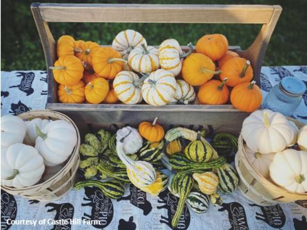 Various small pumpkins and gourds displayed in baskets and a wooden crate