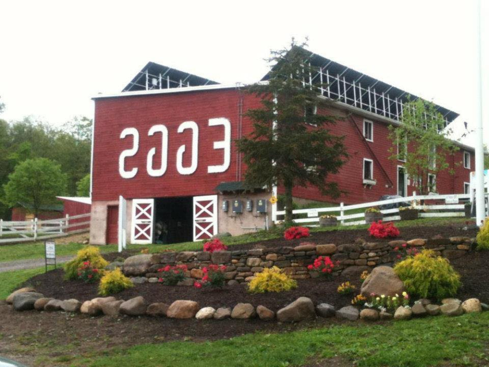 Red barn with 'EGGS' sign and landscaped garden in front