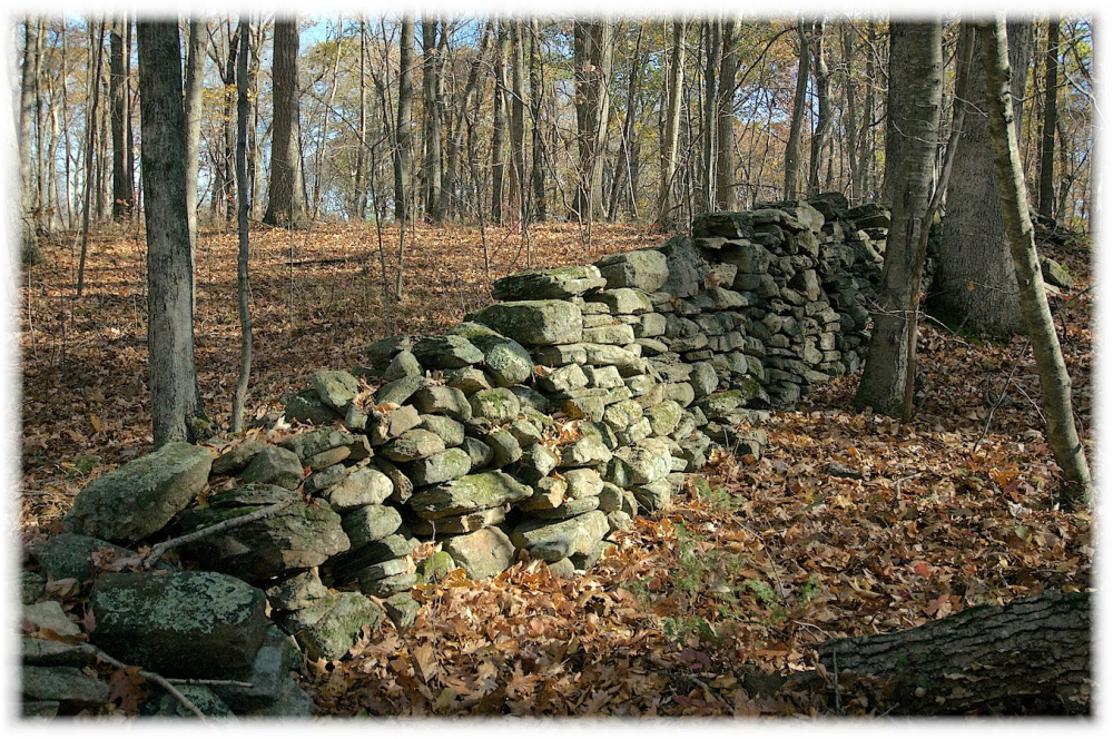 Moss-covered stone wall in autumn forest with fallen leaves