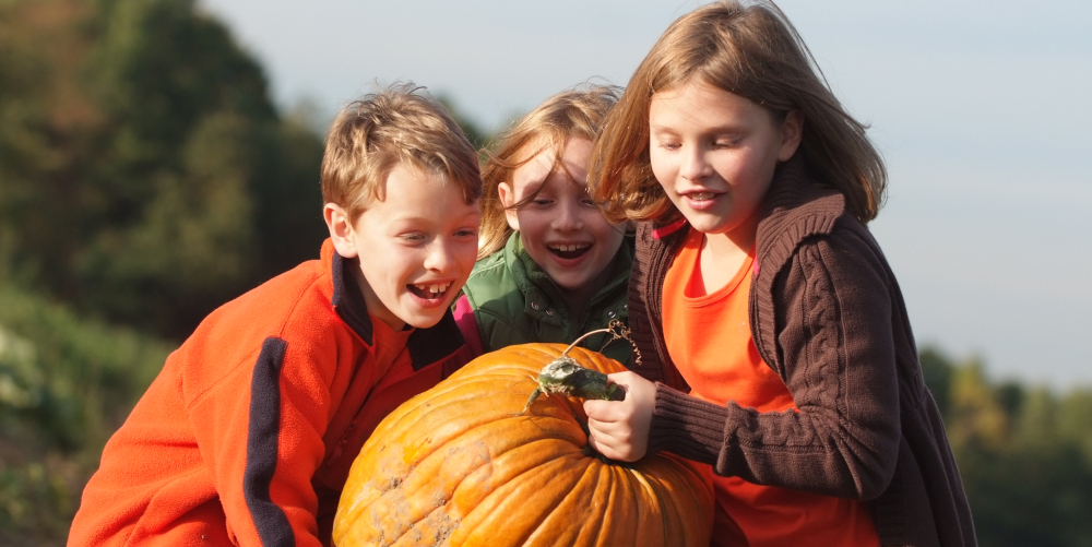 Three children holding a large pumpkin outdoors in a farm field