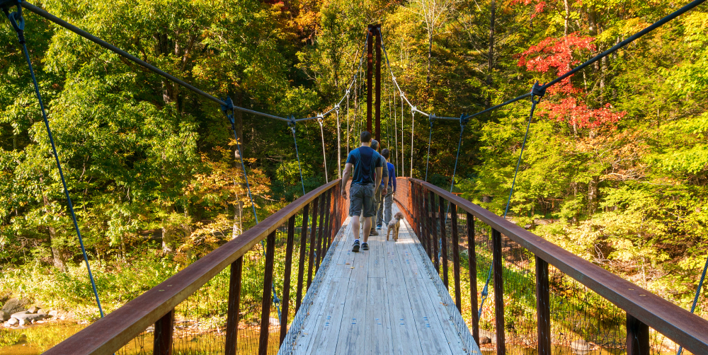 People walking a dog on Thoreau suspension bridge in autumn forest