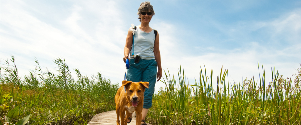 Woman walking dog on boardwalk trail surrounded by tall grass