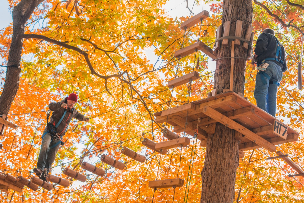 People crossing an elevated obstacle course in a deciduous forest with autumn leaves