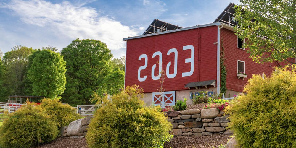 Red barn with white 'EGGS' sign surrounded by greenery and stone wall