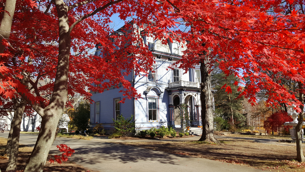Victorian house framed by bright red autumn leaves